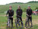 Met&aacute;lszam&aacute;r Team