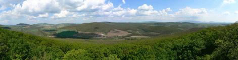 Cserh&aacute;t